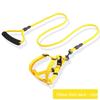 Adjustable Dog Leash and Collar Set for Small, Medium, and Large Dogs - Ideal for Walking Pets like Teddy and Golden Retriever