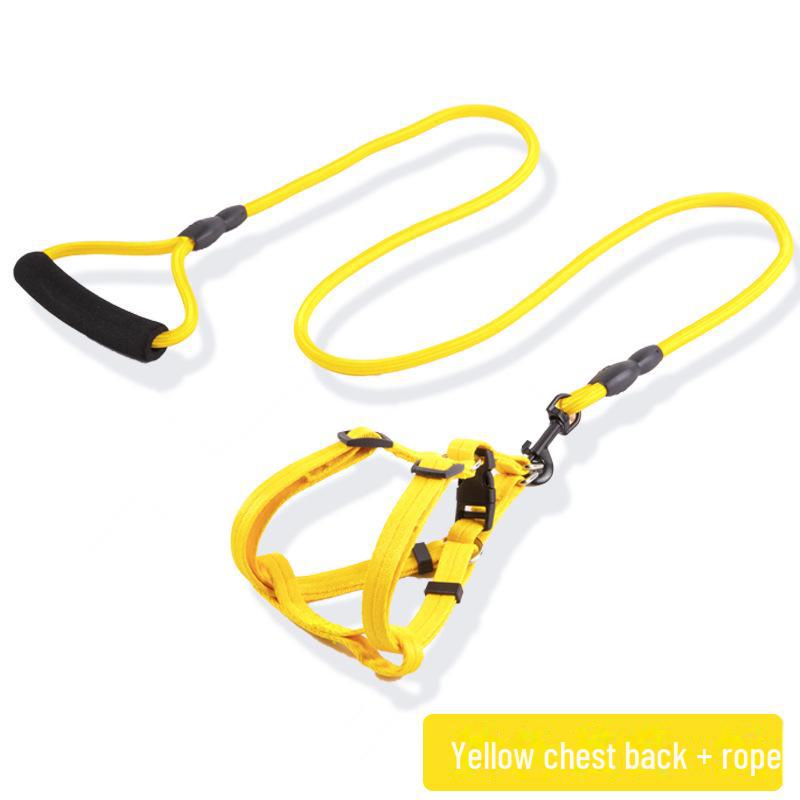 Adjustable Dog Leash and Collar Set for Small, Medium, and Large Dogs - Ideal for Walking Pets like Teddy and Golden Retriever
