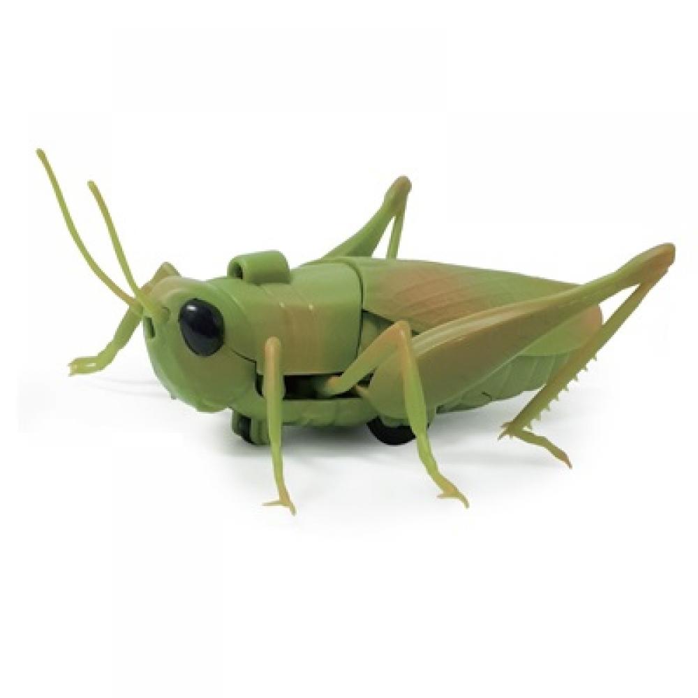 Toy Friend Moving Insect Grasshopper [dk 7705]