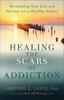 The Healing the Scars of Addiction : Reclaiming Your Life and Moving Into a Healthy Future Book