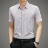 Summer New Striped Slim-Fit Short-Sleeved Lapel Shirt Men's Young and Middle-Aged Business Thin Shirt