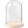 Glass Dome Diameter 7", Decorative Glass Cloche Bell Jar Display Dome, Dust Proof Glass Display Dome with Solid Wood Base Office Home Desktop