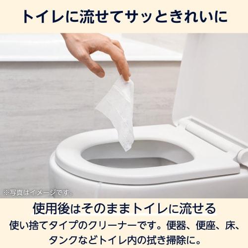 [Case Sale] Flushable Toilet Cleaner, Unscented, Large, Thick, 480 Sheets (10 Sheets X 48 Packs)