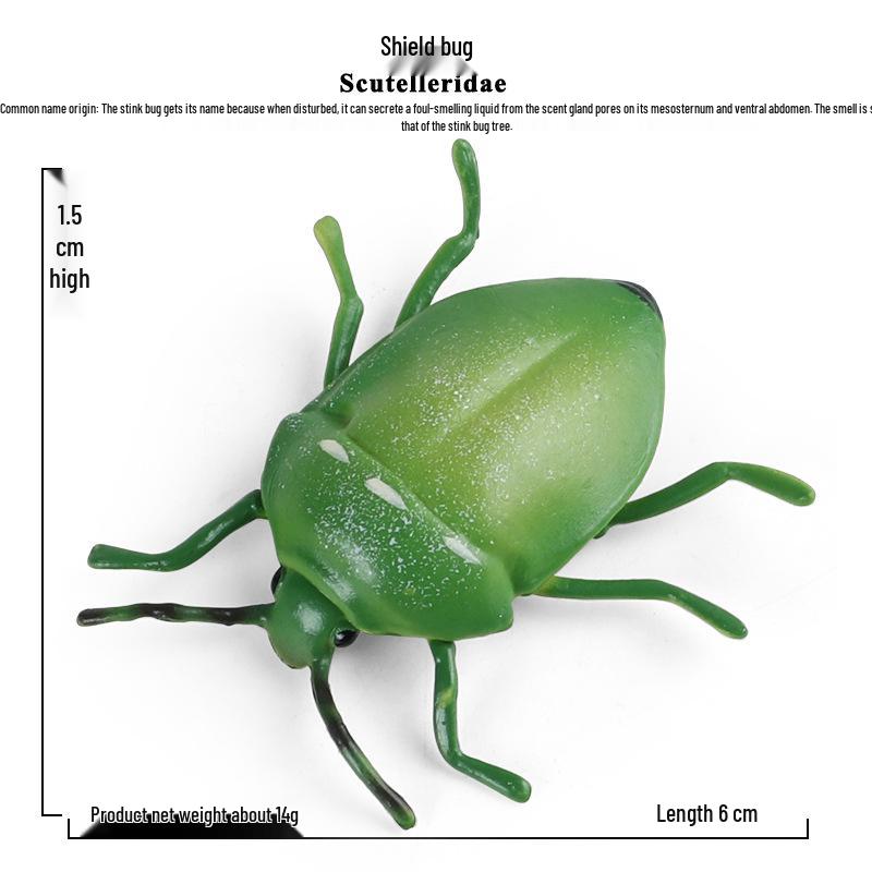 Early Childhood Insect Model: Shield Bug Farting Toy