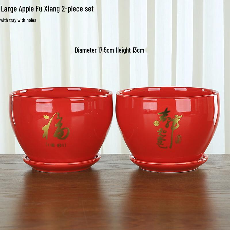 Keramische Plantenbak in Appelvorm met Schotel