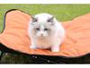 Portable Folding Detachable Pet Bed for Cats & Dogs - Outdoor Camping Bed