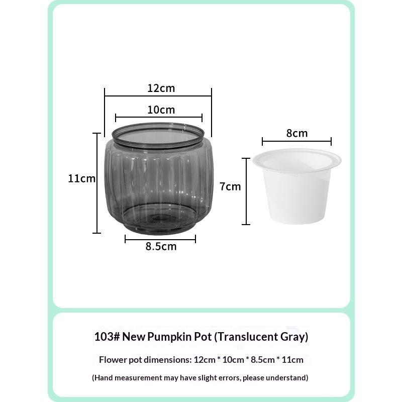 Mini Self Watering Flower Pot Fish Tank Transparent BPA-Free Plastic Dual Use Decor for Office Desktop Home Decoration