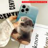 Cute Otter On Boat Edge Wallpaper All Inclusive Film Hard Phone Case, Compatible with iPhone 18 Pro Max 17 16 15 14 13 12 11