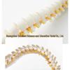45CM Colorful Spine Model: Vertebral Column with Pelvis, Femur, Coccyx, Lumbar, Cervical Vertebrae for Chiropractic Use