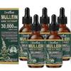 2026 O Melhor!! 5 unidades de Gotas de Verbasco para Pulmões, Extrato de Folha de Verbasco com Clorofila, Suplemento Herbal Natural para Limpeza Pulmonar e Suporte Respiratório