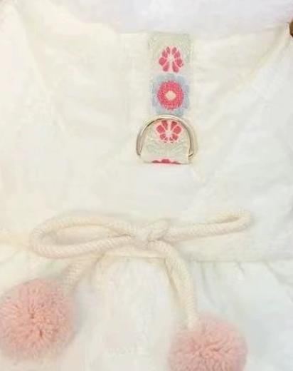 Pet with Traction Buckle Plush Small Dog Autumn Winter Plush Collar Warmer Than Teddy Bear Clothes Puppy Clothes for Small Dogs