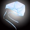 Hair Coloring Cap with Plastic Hook Hair Dye Cap Hair Highlighting Cap for Home Use