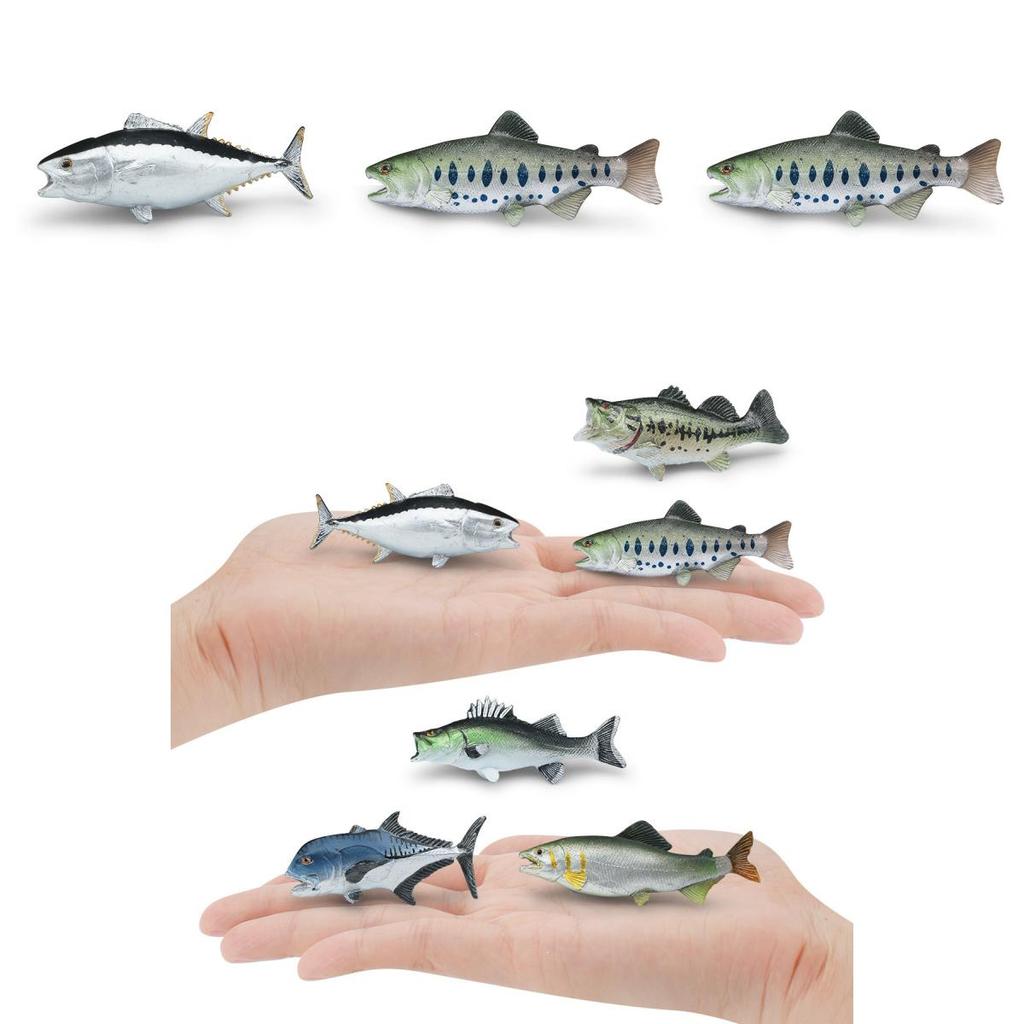 Meerestier Statisches Modell Spielzeug Mit Realistischem Fischdesign Für Sammler Und Dekoration