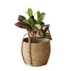 Lightweight DurableRattan Grass Woven Floor Vase Pot Flower Basket Rack for Balconies HomesOffice Living Room Decoration