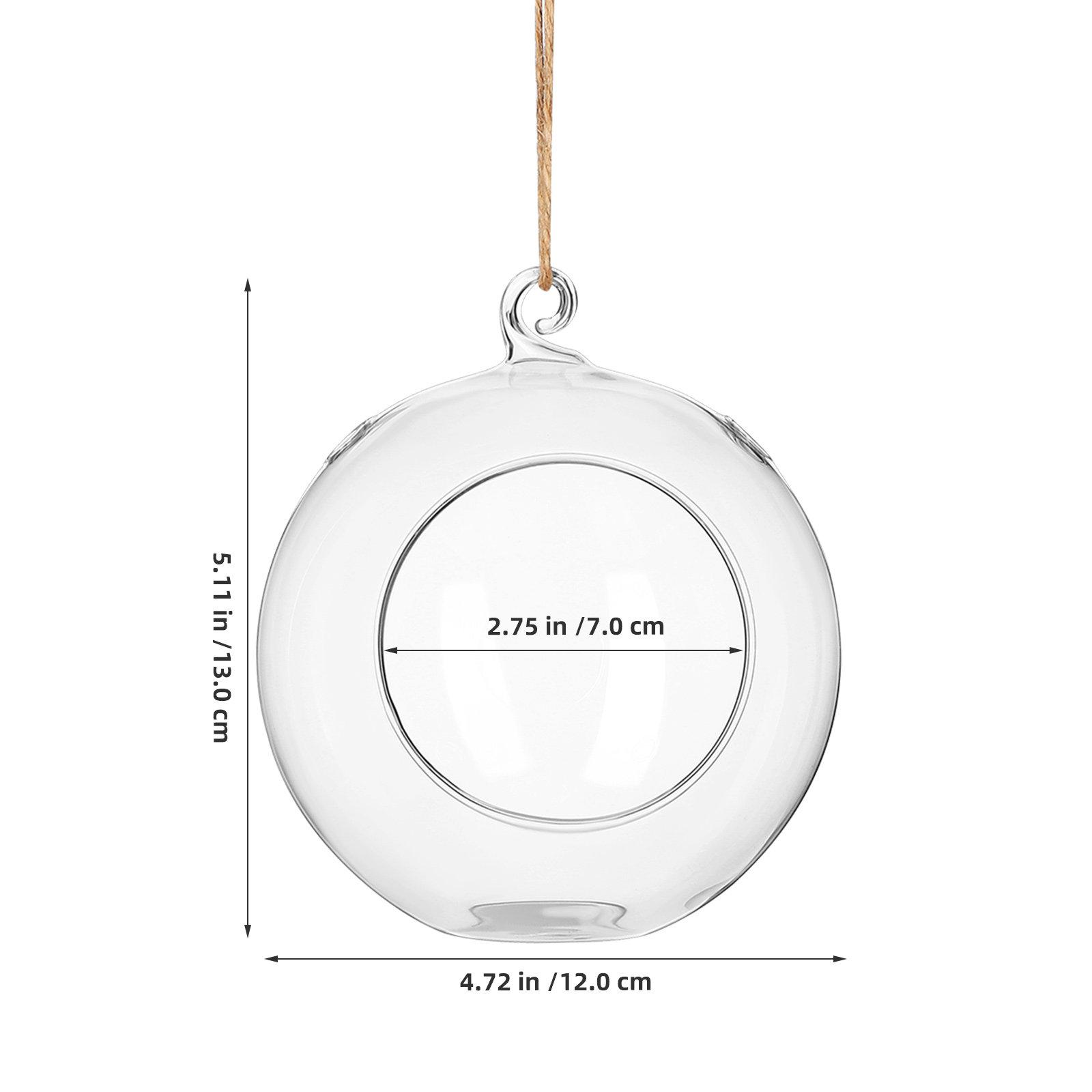 2Pcs Transparent Glass Hanging Globe Terrarium Air Plant Holder Creative Micro Landscape Succulent Planter Indoor Hanging Vase