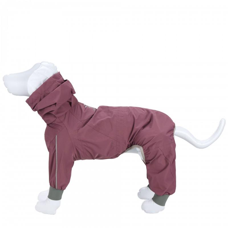 Vollschutz 4-Beiner Hunderegenmantel Wasserdichte Outdoorjacke Mittlere bis Große Rassen Wie Border Collie