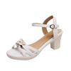 Summer New High Heels Women's Fashion Style Hollow Open Toe One-word Buckle Strap Thick Heel Sandals Women