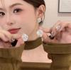 Sugar Cube Zircon Women's New Trendy Niche Temperament Earrings Fashionable and Simple Earrings