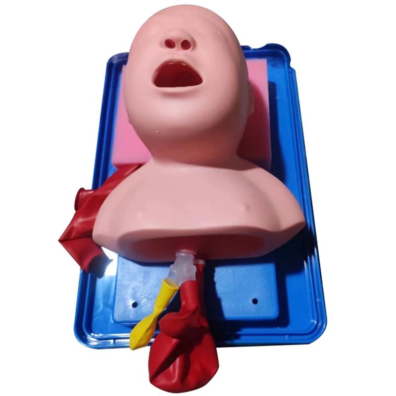 2025 New Tracheal Intubation Infant Model, Nasal Intubation Model Simulator,Airway Management Teaching Aid Kit (as the picture,NONE)