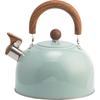 Modern Stainless Steel Whistle Kettle With Collapsible Handle For Home Kitchen And Gift Use