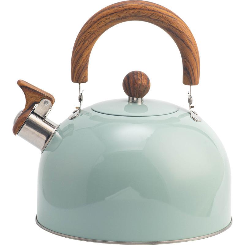 Modern Stainless Steel Whistle Kettle With Collapsible Handle For Home Kitchen And Gift Use