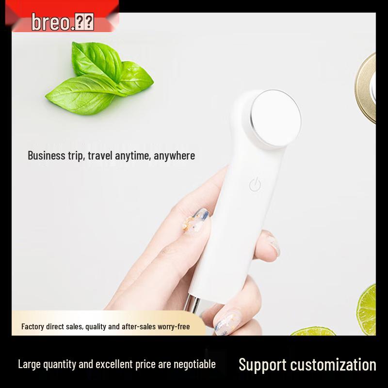 Breo Beizhi Warm Compress Facial Massager CN plug (adapter included)