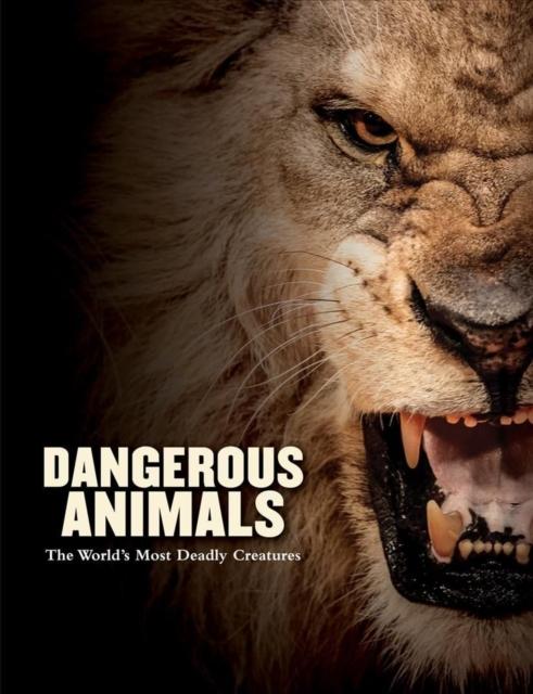 The worlds most dangerous animals. Крокодил яростный. The worlds most dangerous animals. Dangerous animals. The worlds most dangerous animals.