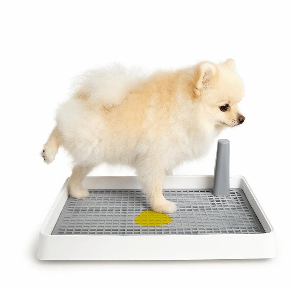 Plastic Portable Pet Toilet Mesh Puppy Urine Tray Indoor Training Dog Potty Pad  Pet Supplies