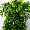 Artificial 5Forks Rattan Eucalyptus Wall Hanging Simulation Greenery Fake Hanging Plants Vine Diy  Home Outdoor Decor Plant