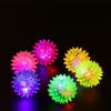 Sound Play Rubber Dog Cat Puppy Pet Ball LED Light Toys