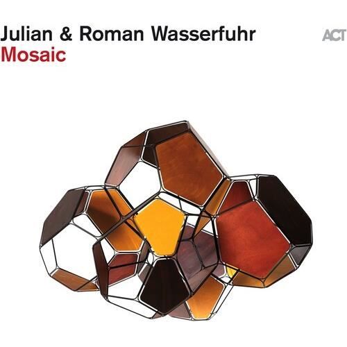 Julian Wasserfuhr &amp; Roman - Mosaic [VINYL LP]