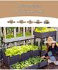 Thickened Plastic Vegetable & Flower Planter Box for Balcony, Indoor, Terrace, or Courtyard