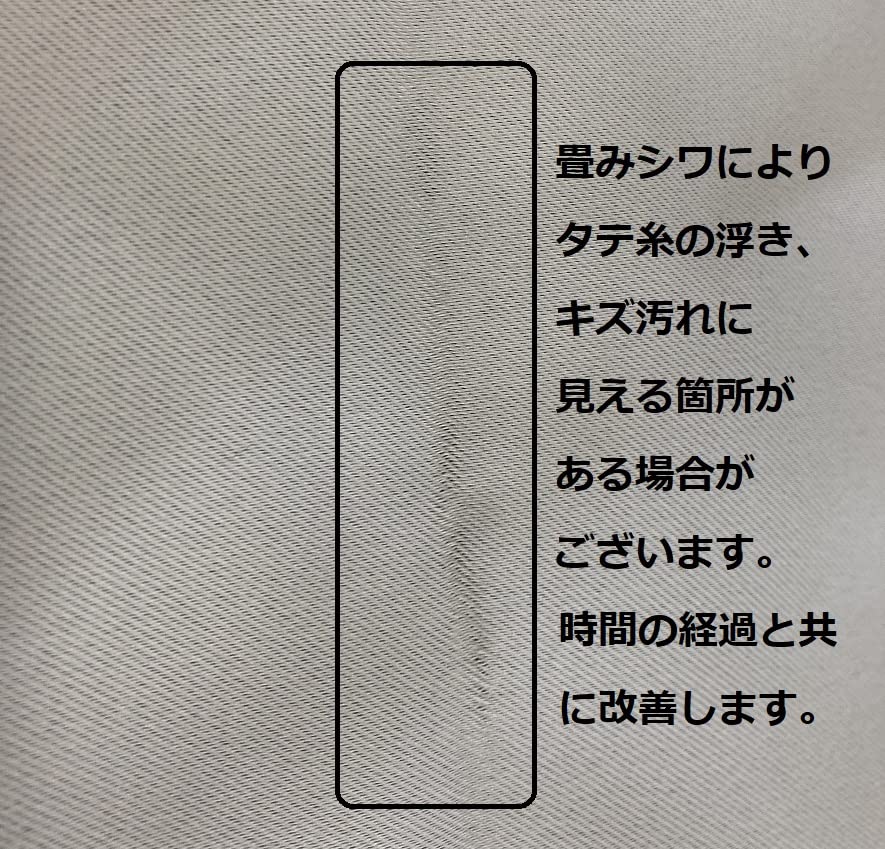 Ladenvorhang für Treppen und Hintertür 1 Licht Breite 90cm x Länge 240cm [Stoff Nunoya] [Elfenbein] (beige) [Klassenblockierung] [1 Stück]]