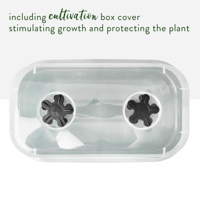 ELHO Green Basics Allin1 Large Grow Box - L 39 X W 23 X H 15 Cm - Growing and Harvesting - 100% Recycled - Black
