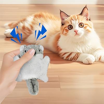 Kedi – Kedi Oyuncakları