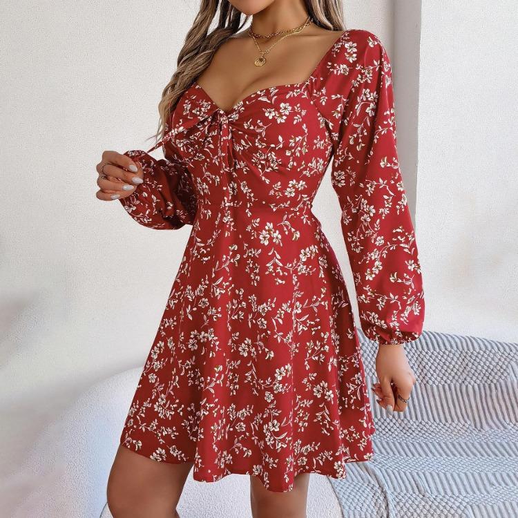 Floral Long Sleeve A Line Dress for Women High Waist V Neck Summer Spring Long Dress Pleated Elegant