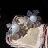 Mermaid Bubble Flowers Gem Pearl Earrings, Tahiti, Bow Star Zircon, Pearl Necklace