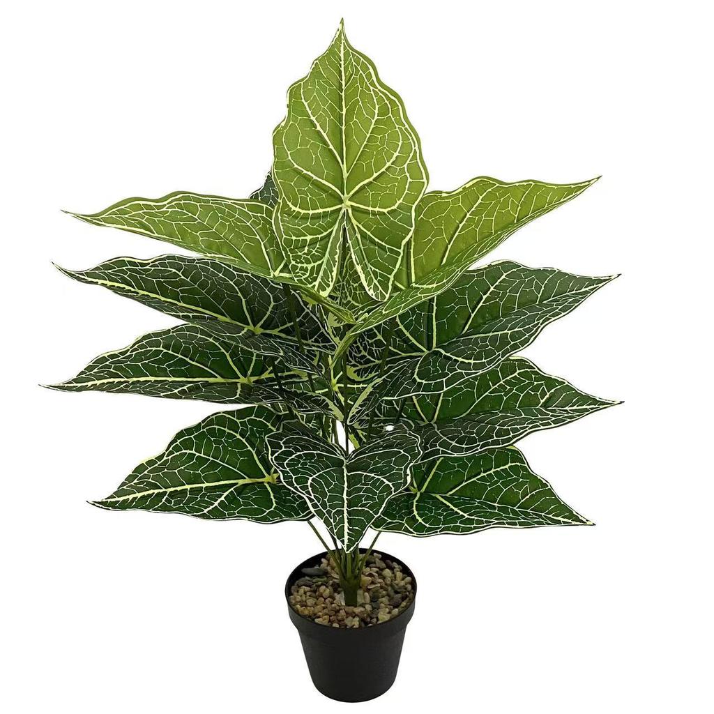Nordic Style Taro Leaf Green Plant for Home Decor and Garden Landscaping