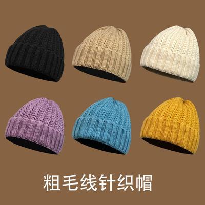 Winter Warm Knitted Hat Versatile Thick Wool Twist Hat Women's Ear Protection Cold Solid Color Hat