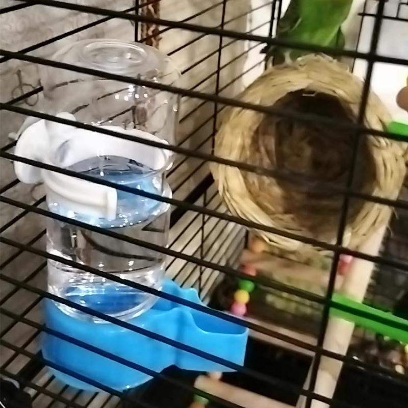 2PCS Automatic Auto Waterer For Parrots Budgies Cockatiels Safe Plastic Water Dispenser Feeder Easy Maintenances