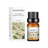 10ml Fragrance Oils Gift Box Fruit Aroma Oil For Humidifier Diffuser Candle Soap Making Air Freshener Oil