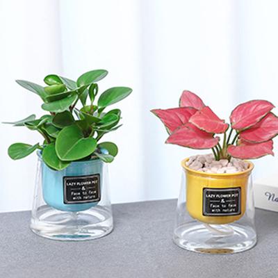 Kvetináče a debničky na záhradu – Pestovateľské nádoby