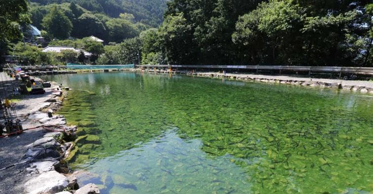 Ultra-hard, Lightweight, Compact, Telescopic Fishing Rod for Mountain Streams, Bait Fishing, Managed Fishing Areas, Rivers, and Banks (5.4m)