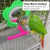 Acrylic Material Parrot Mirror Stand Toy Flower Shape Hanging Bird Mirror Toy  For Budgie