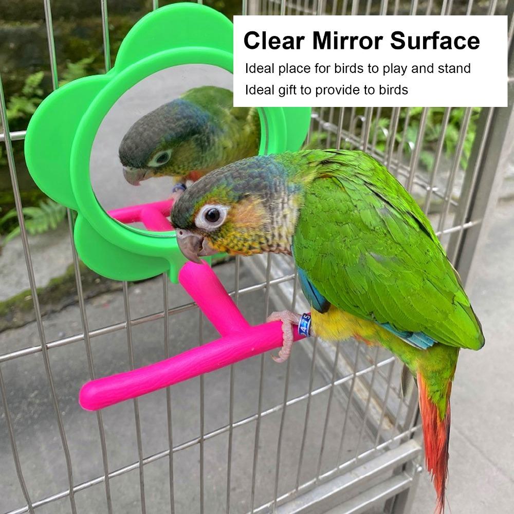 Acrylic Material Parrot Mirror Stand Toy Flower Shape Hanging Bird Mirror Toy  For Budgie