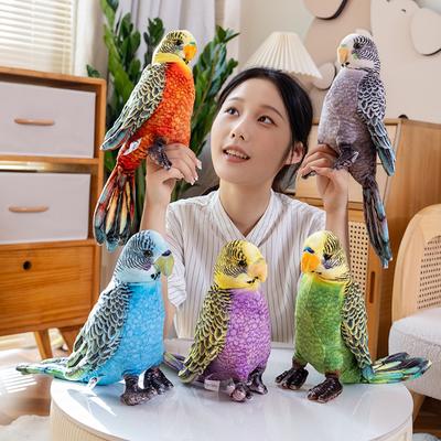Süße Simulationsvogel Papagei Puppe Plüschtier Zoo Grüner Papagei Puppe Kinder Beruhigende Stoffpuppe