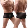 Men Summer Thin Underwear Low-rise Sexy Transparent Lace Shorts Panties Breathable Lightweight Elastic Comfortable Underwear