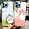 Cartoon Niedliches Kaninchen Glas Hülle Für Iphone 13 14 12 Pro Max Mini Xs Xr X Hülle Für Iphone 7 8 6s Plus Se 2022 11 Coque Capa