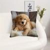 1 Golden Retriever Puppy Printed Pillowcase - Soft Polyester