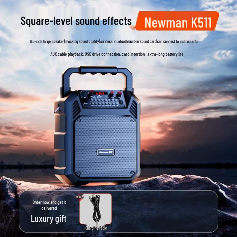 Newmine K511 Portable Bluetooth Speaker with Karaoke & Radio CN plug (adapter included)